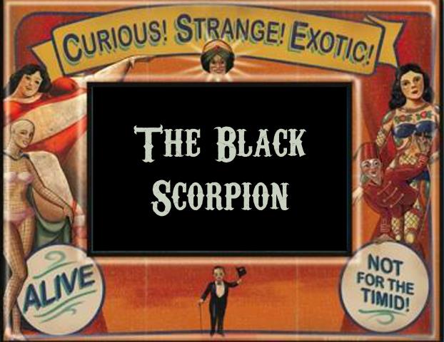 The Black Scorpion 5ml - Vetiver, black spruce, black agar, thick leather, bay, black tea, black pepper, vanilla and violet.