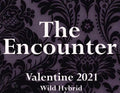 The Encounter 5ml Calla lily, dianthus, white suede, oakmoss and vanilla absolute