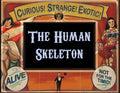 The Human Skeleton 5ml - Bone, white tea, may chang and white grapefruit.
