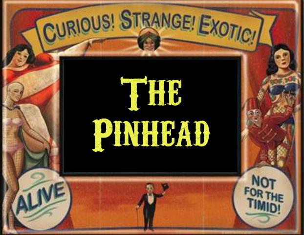 The Pinhead 5ml - Pear, pipe tobacco, rosemary flower, citronella, lime and clary sage.