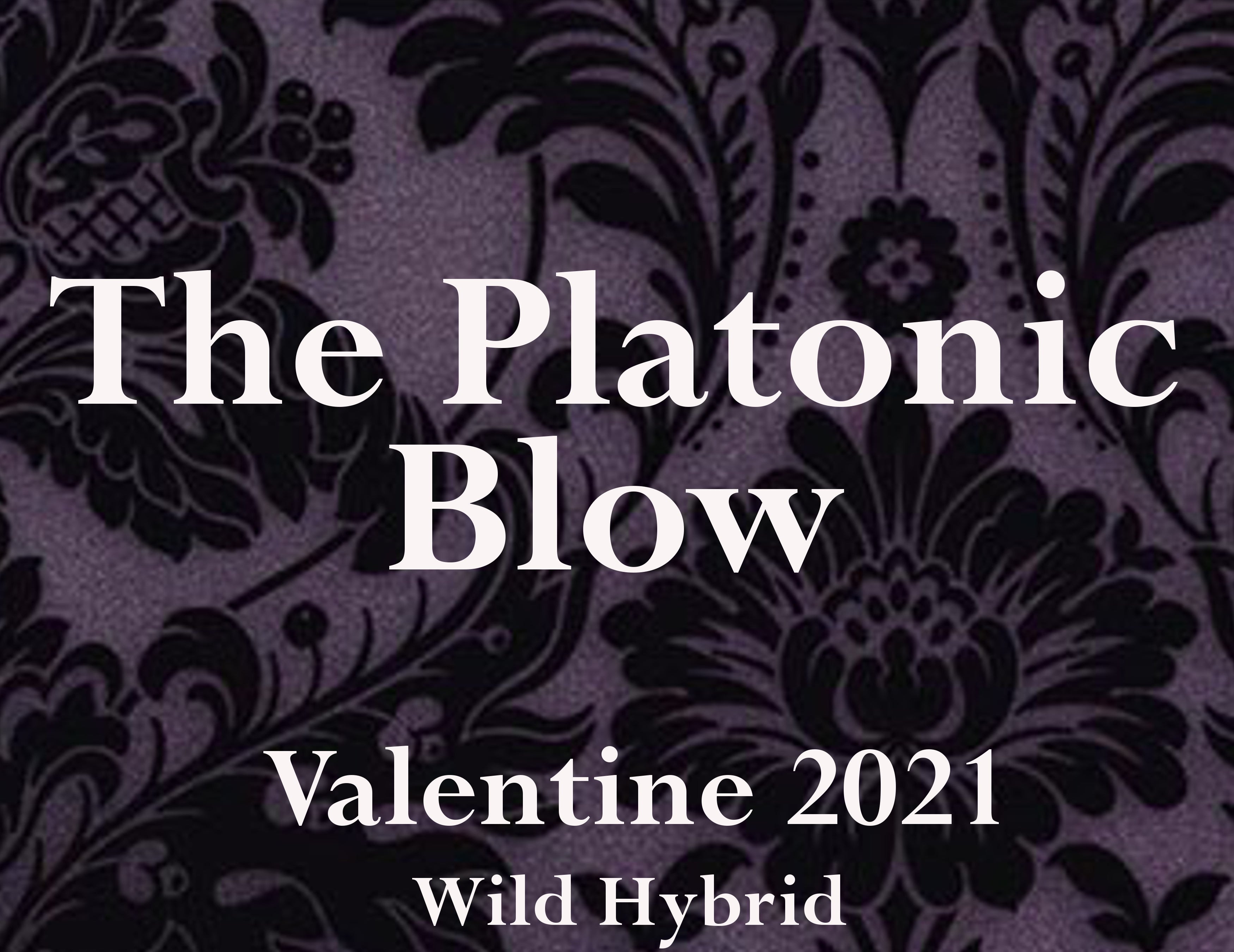 The Platonic Blow 5ml Balsam cedar, cinnamon bark, bergamot, white musk, spanish moss and civet