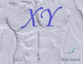 XY - Tonka, sweet clover, tobacco leaf, clary sage and civet accord.