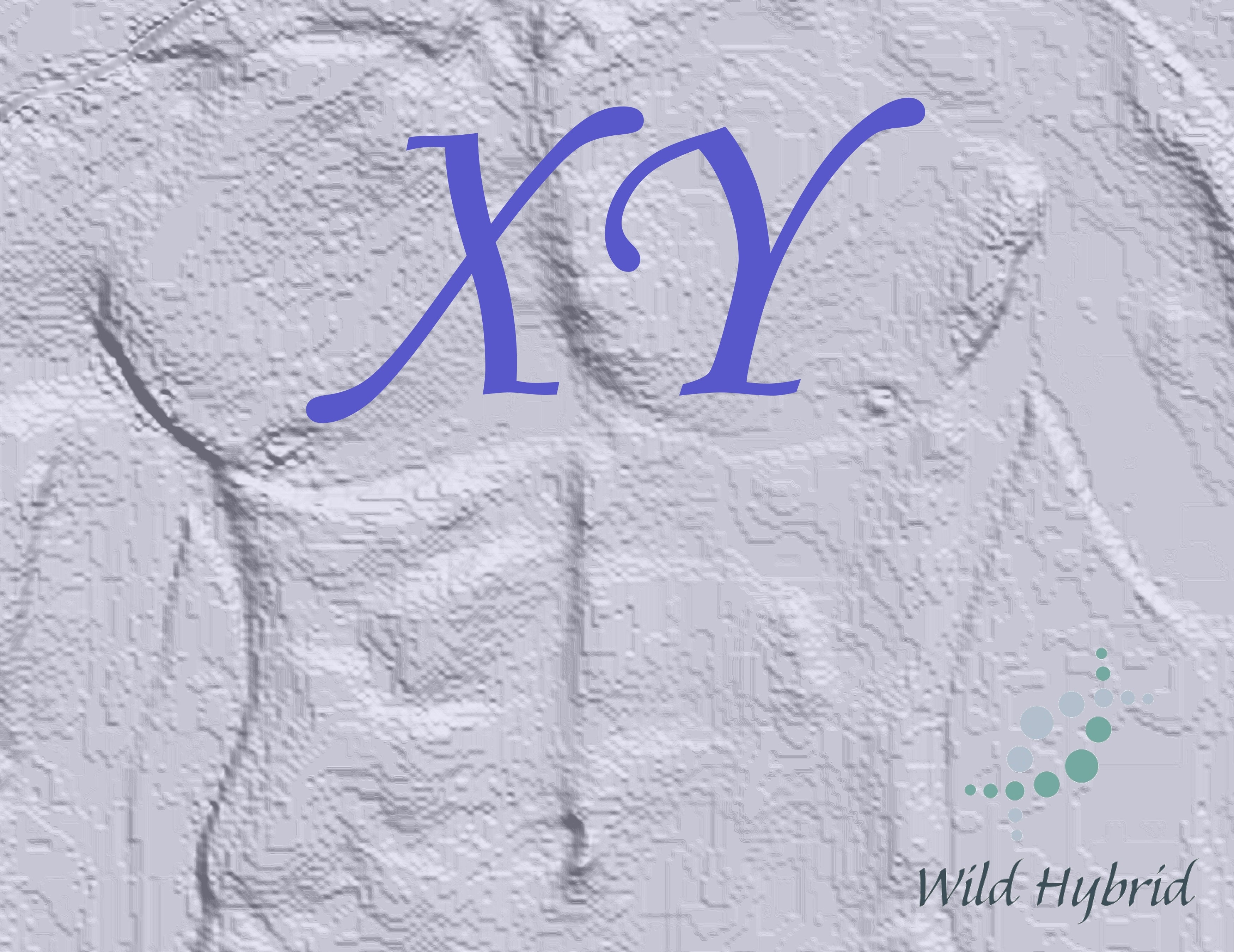 XY - Tonka, sweet clover, tobacco leaf, clary sage and civet accord.
