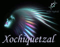 Xochiquetzal - Ripe and fragrant tropical fruit, hypnotic tropical blooms, rich vanilla and soft woods.
