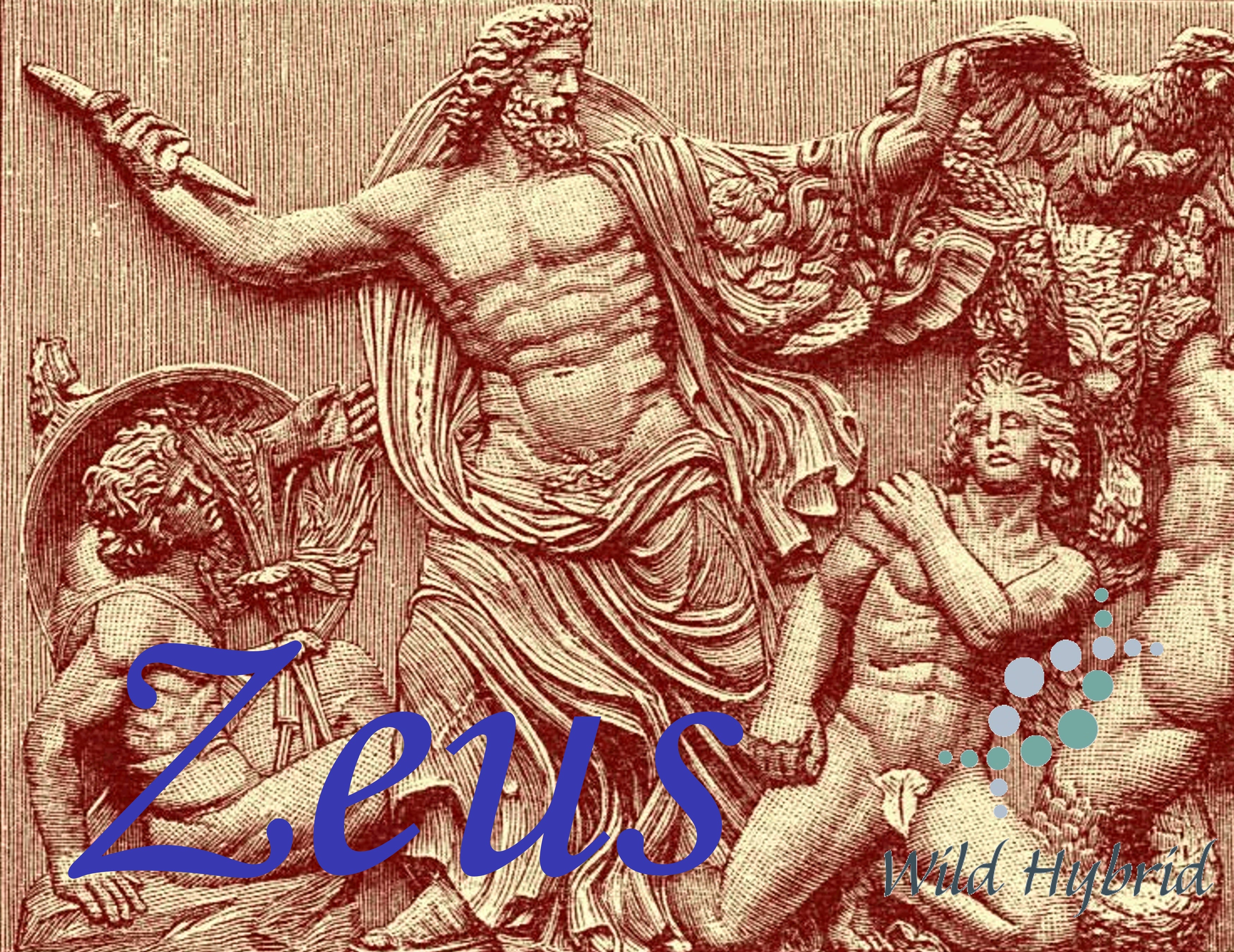 Zeus 5ml - Fir, cedarwood, clary sage, bergamot and linen.
