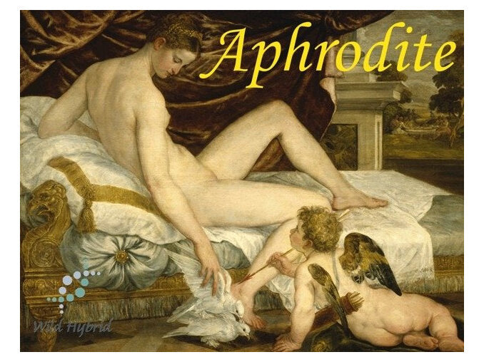 Aphrodite 5ml - Crystalline white musk, tea rose, gardenia and honey.