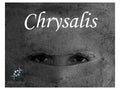 Chrysalis 5ml - Silk, a few wilted green leaves and sticky nectar