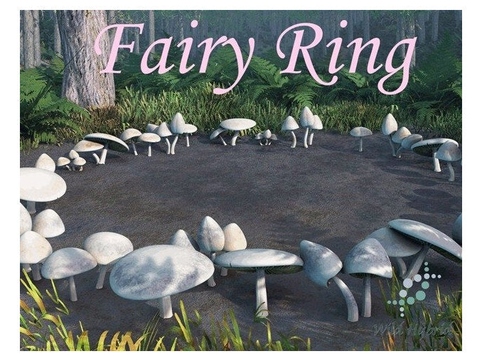 Fairy Ring 5ml - Dewy grass, toadstools, black earth, blue musk and wild cyclamen