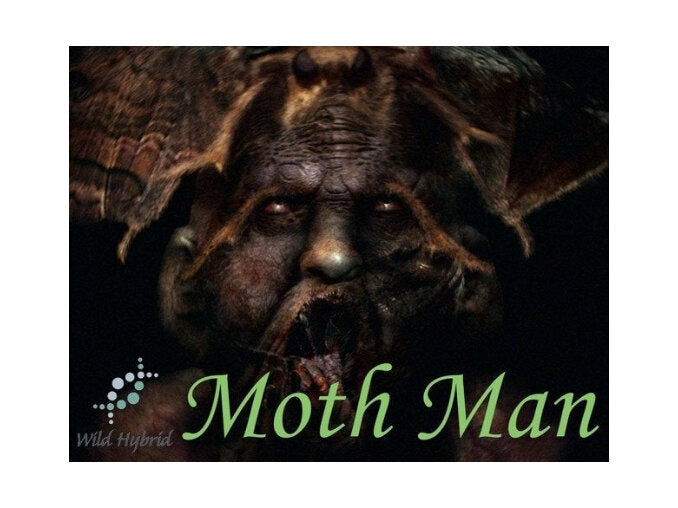 Moth Man 5ml - Dark musk, tree mosses, amber and thick, aged leather.