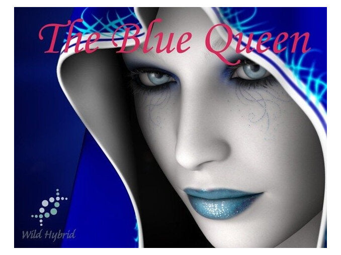 The Blue Queen 5ml - Spiced plum, lavender, blueberry, blue spun sugar, cassis, labdanum, ambergris accord, blue musk and softly lapping waves