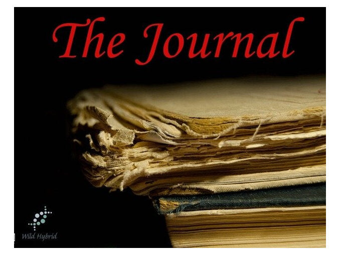 The Journal 5ml - Ink smeared parchment pages bound in old, worn leather.